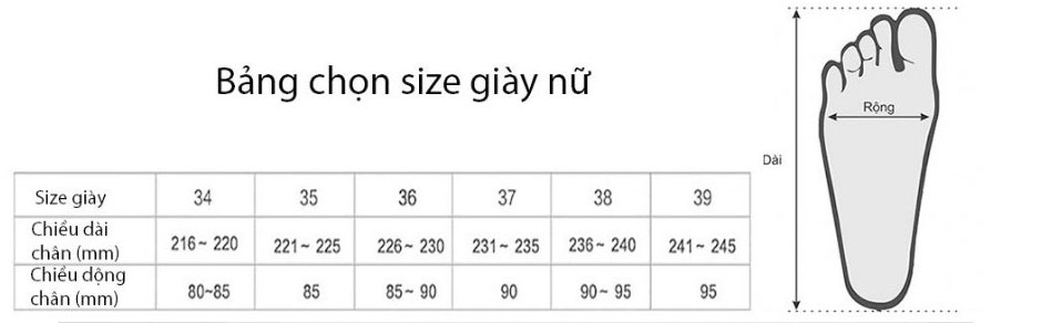 E6588 1020K Giày Thể Thao Nữ Wentdoe Mùa Xuân Thu Đông Giày Dép Nữ Da Bò G03 Sản Phẩm Mới